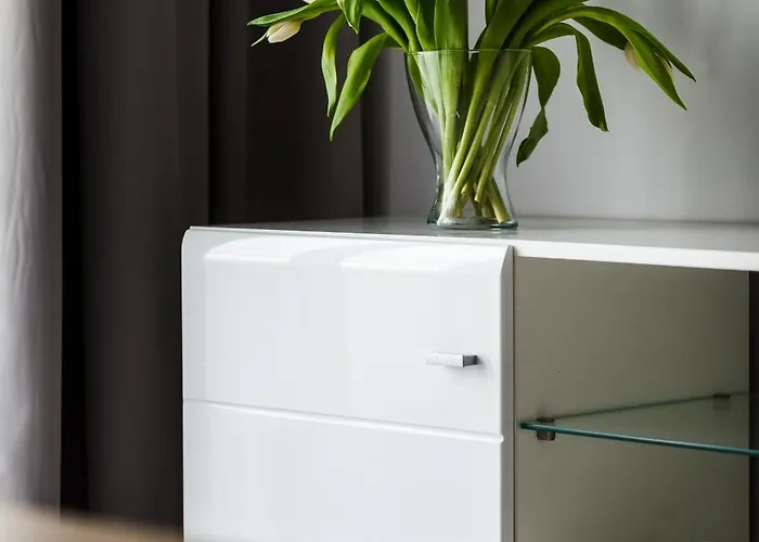 Apartment Nowa Motlawa By Happystay *